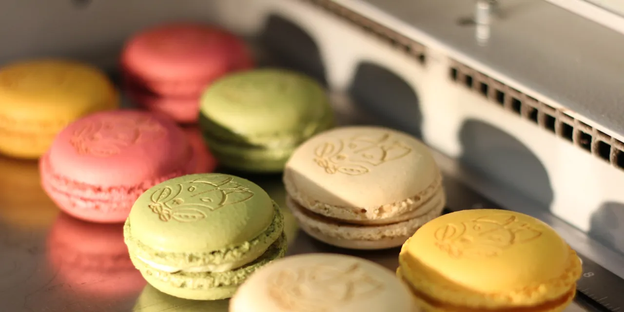 Colorful macarons engraved with designs using Trotec CO₂ laser engraving machine