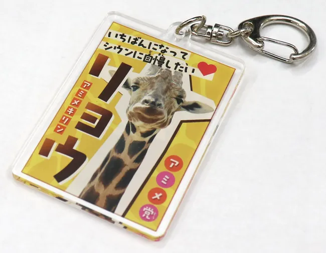 Custom acrylic keychain with giraffe image and colorful Japanese text, ideal for laser engraving with Trotec machines