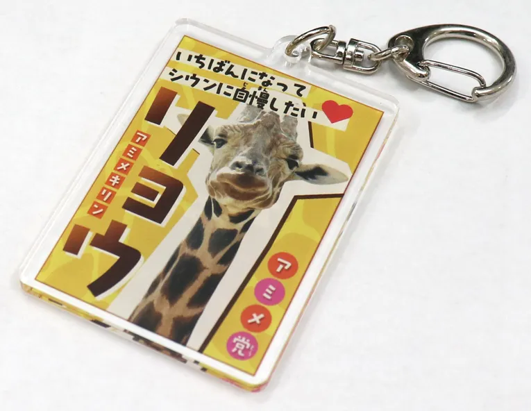 Custom acrylic keychain with giraffe image and colorful Japanese text, ideal for laser engraving with Trotec machines